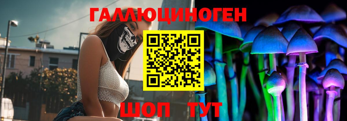 Галлюциногенные грибы GOLDEN TEACHER Всеволожск
